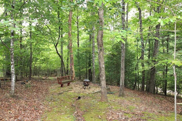 Yard Listing photo 25